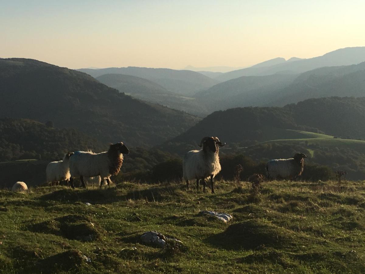 לומבייר Selbaondoa, Casa Con Patio En El Prepirineo Navarro מראה חיצוני תמונה
